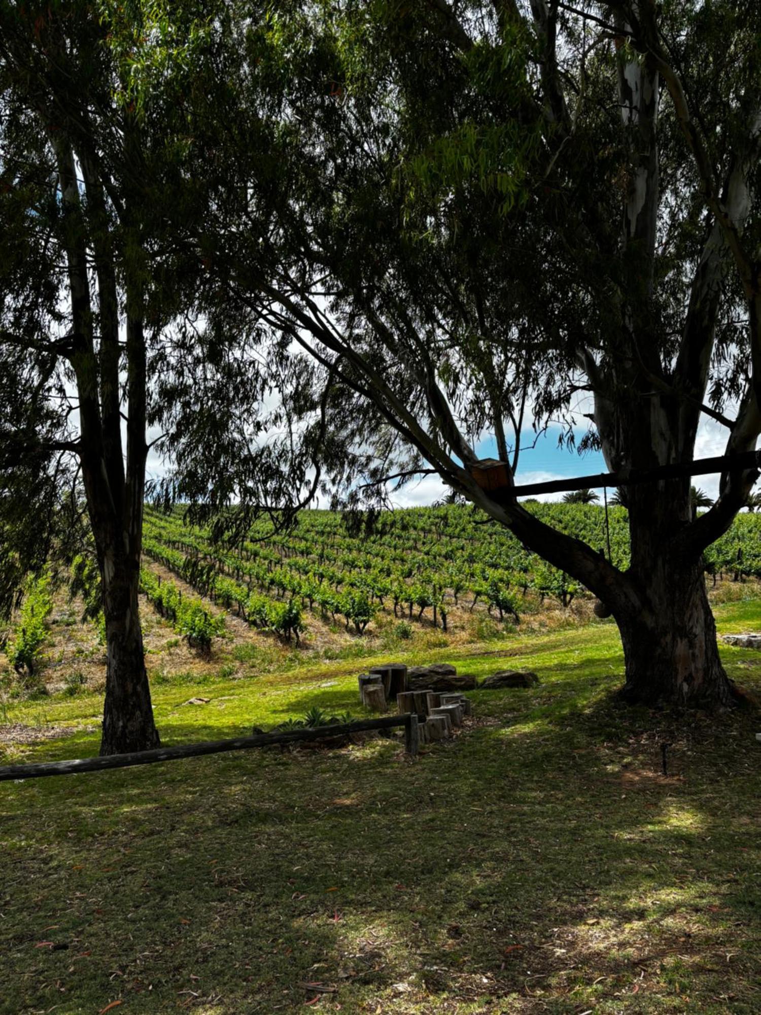 Arendsig Wine Estate & Cottages Bonnievale Extérieur photo